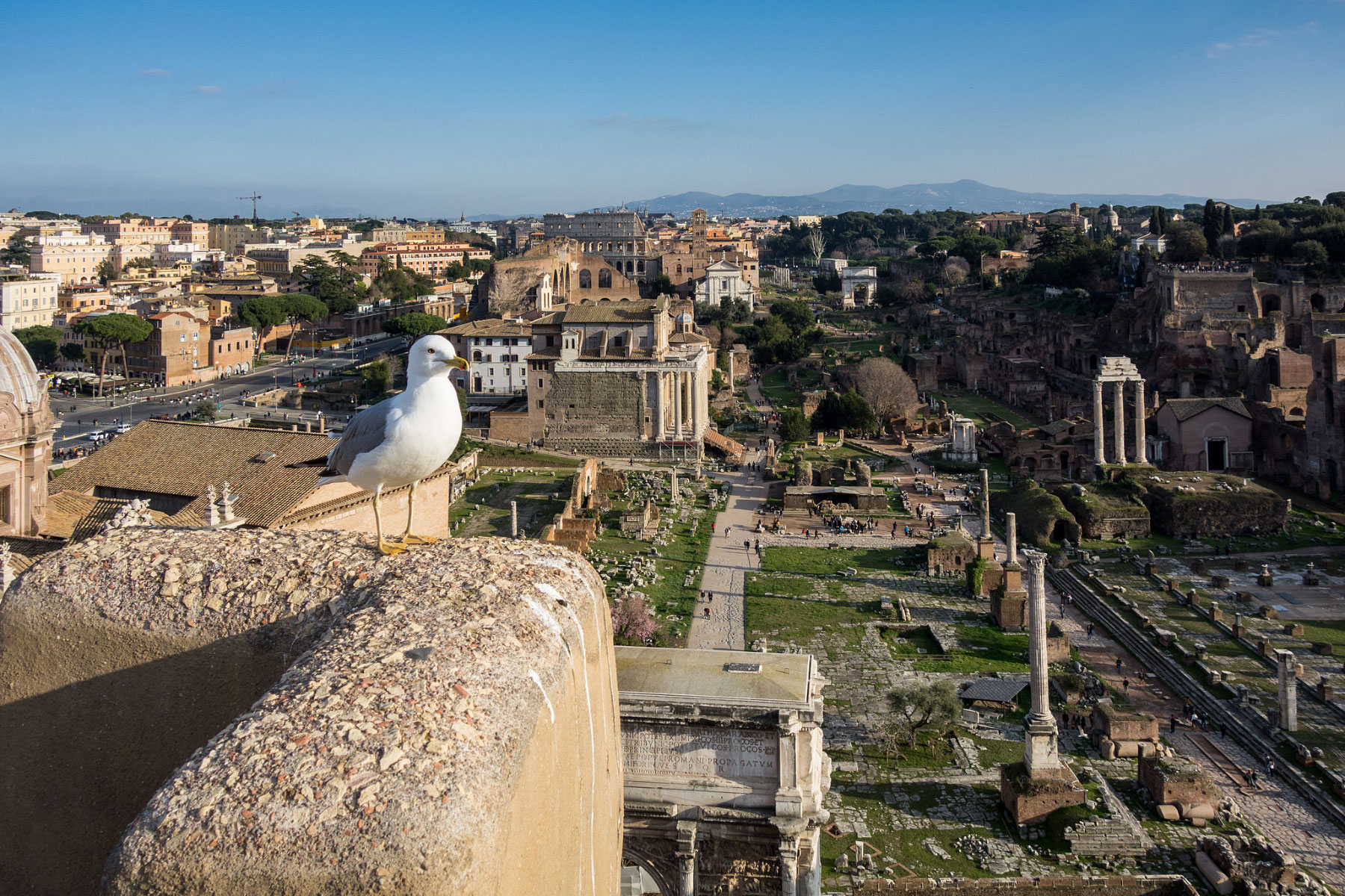 Rome
